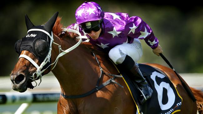 James McDonald will ride Dinghu Mountain at Canterbury on Wednesday. Picture: Gregg Porteous