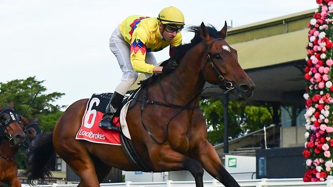 Exciting Tony Gollan-trained three-year-old Freedom Rally is one to watch at Eagle Farm on Saturday. Picture: Grant Peters, Trackside Photography, ,