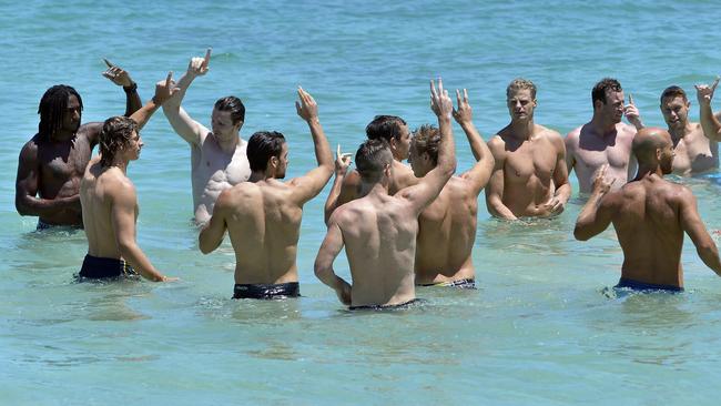 The team takes to the water during the recovery session. Picture: Alf Sorbello
