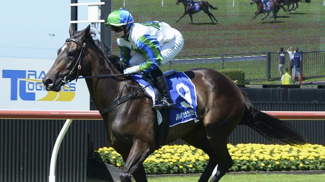 Fall For Cindy looks hard to beat at Warwick Farm on Wednesday. Picture: Bradley Photos