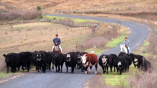 Corporates do not present a threat to the family farming model, according to rural property specialist Danny Thomas.