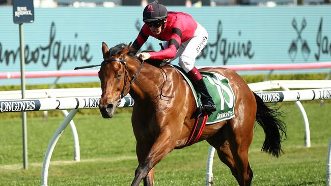 Just Fine is the hot favourite in The Metropolitan. Picture: Jeremy Ng - Getty Images