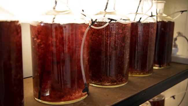 Jars of Asparagopsis seaweed