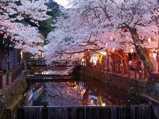 Kinosaki Onsen in Spring, Hyogo Prefecture