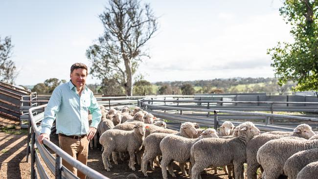 WoolProducers Australia president Ed Storey pictured on his property at Yass in NSW.