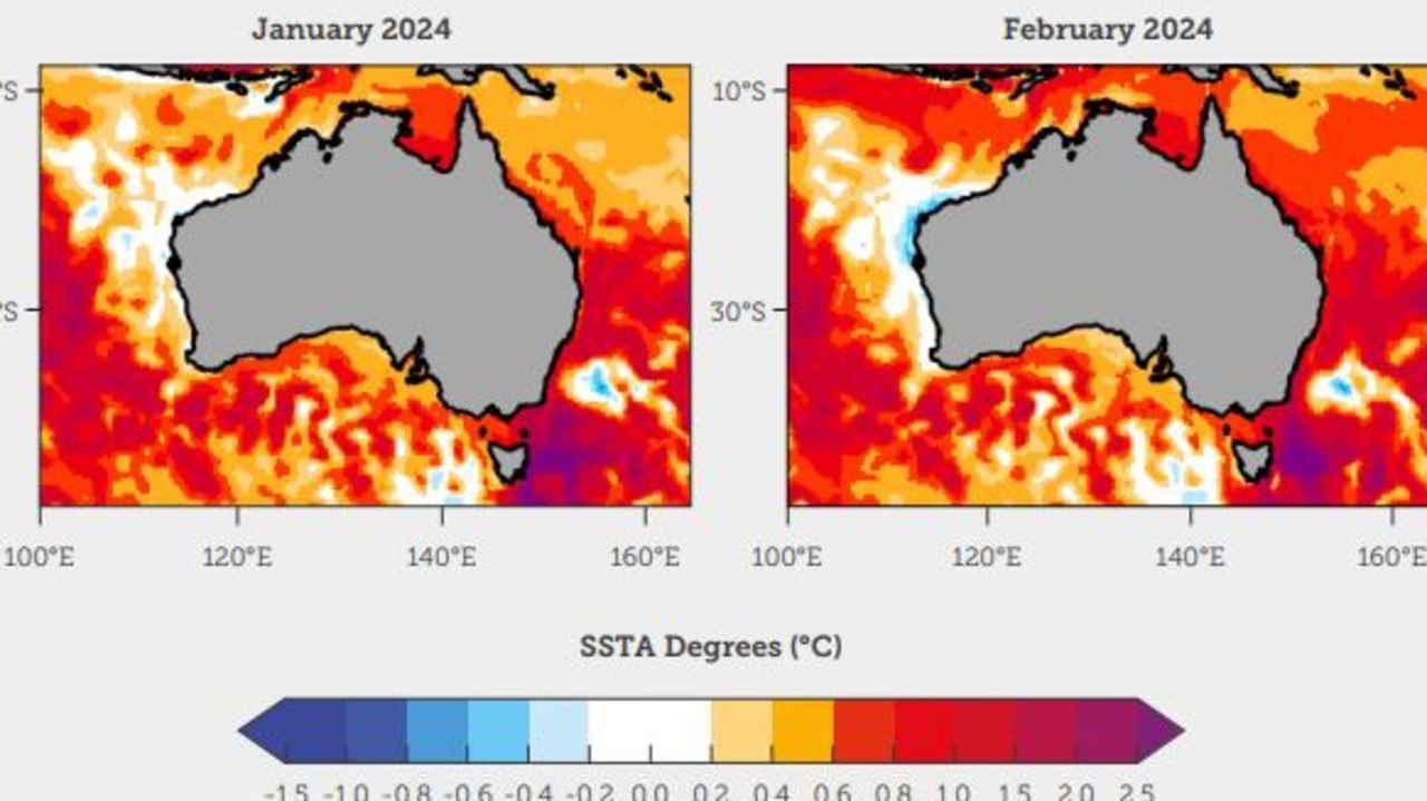 Code Blue Report Climate Council Declare World S Oceans Are In Crisis   Ec9f171c1a45b120f1c57785dcd4801e