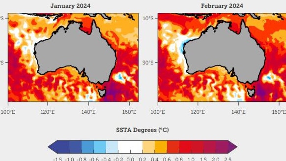 Climate Council’s, modelled off Bureau of Meteorology data, graphic of predicted sea surface temperature anomalies for January and February 2024. Water around Australia are warming rapidly, especially in areas around the southeast. Photo: Climate Council