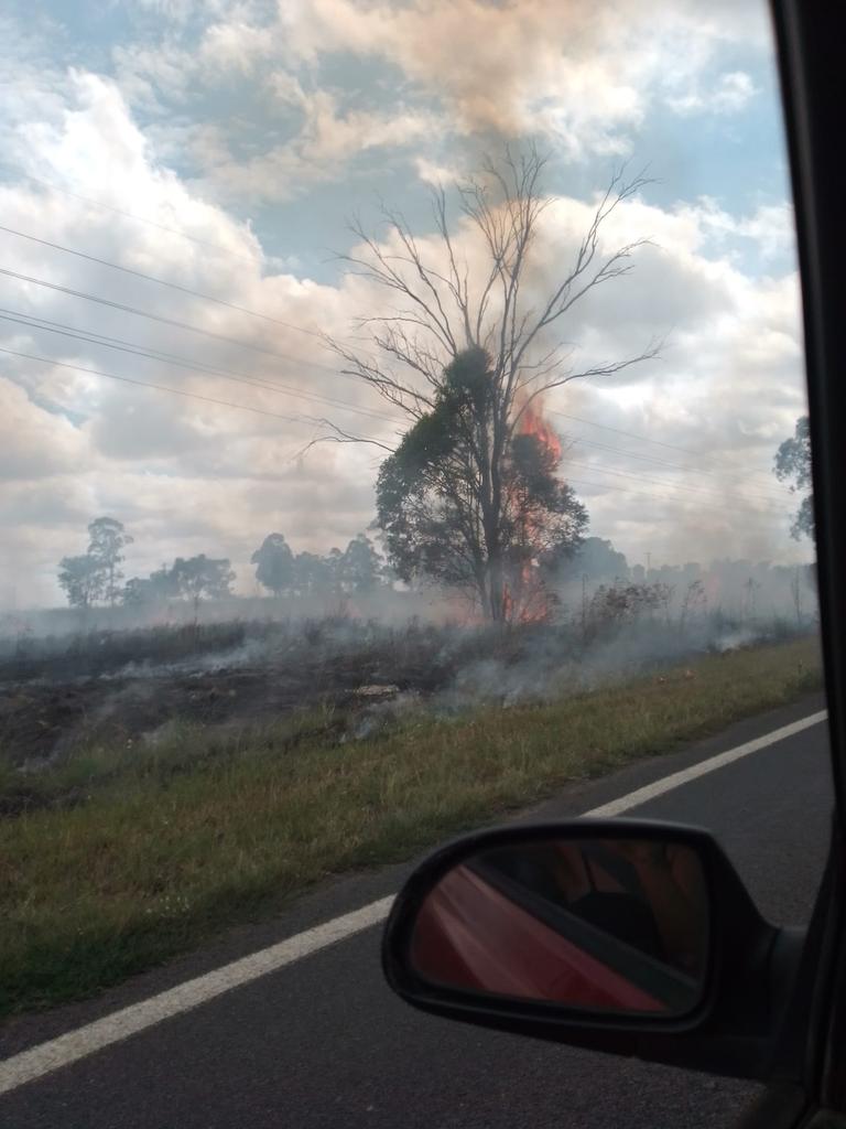 Queensland Rail was contacted for comment about the rail line fires. Photo: Mazikeen Kaos