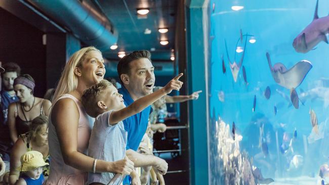 Warner Bros. Movie World and Sea World theme parks on the Gold Coast have been open to the public for some time and this meant an uplift for having the theme parks open would be triggered on November 13.