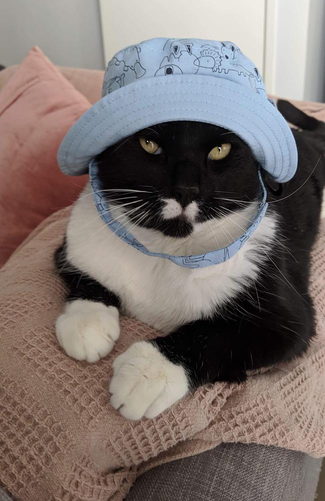 11/09/2019 - This is Kal in our nephew's bucket hat Picture: Maddi