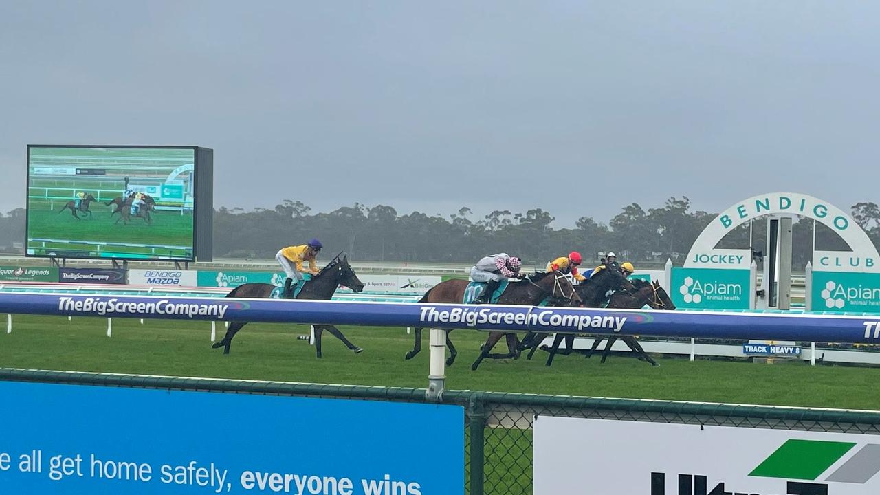 Bendigo Cup 2022 Photos | Herald Sun