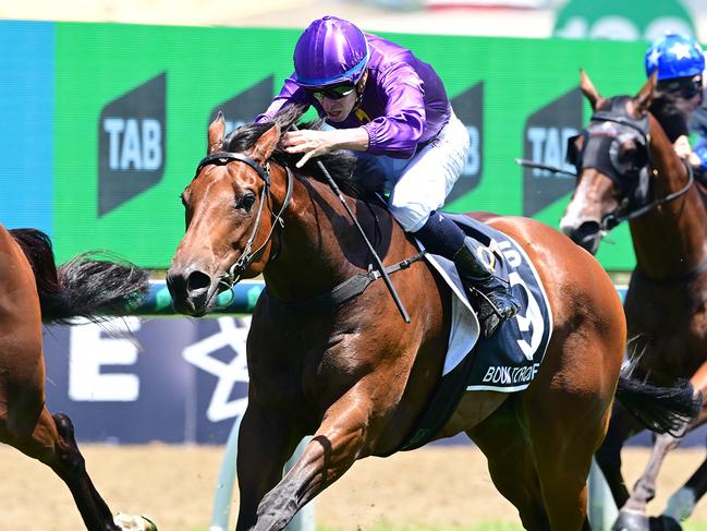 Boom Torque wins the QTIS Open for trainer Matt Dunn and jockey Michael Dee. Picture: Grant Peters, Trackside Photography