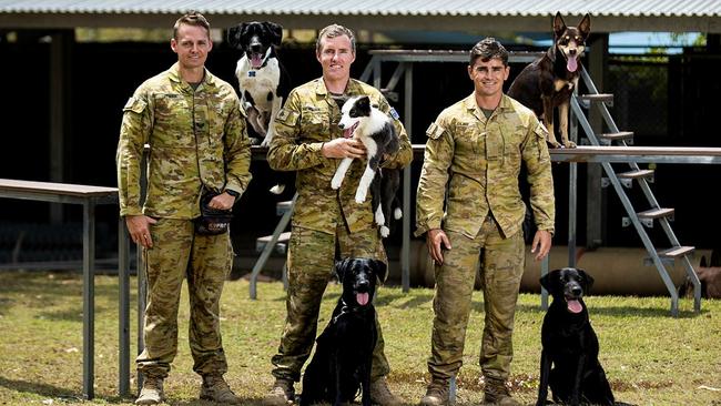 Australian Army soldiers Corporal Chris Latimer, Sapper Glenn Newman and Sapper Dalton Gilbee with Explosive Detection Dogs, Pablo, Vallah, Ash, Archie and Ned, from the 3rd Combat Engineer Regiment at Lavarack Barracks in Townsville. Picture: BDR Guy Sadler