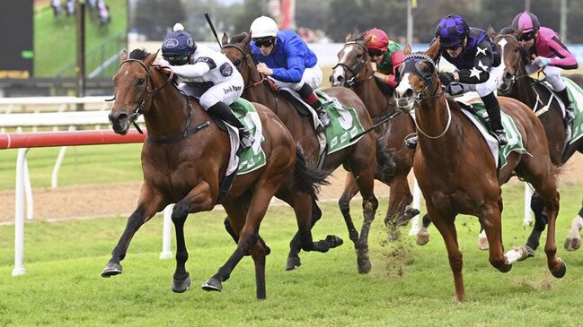 Malkovich is closing in on $1m in prizemoney. Picture: Bradley Photos