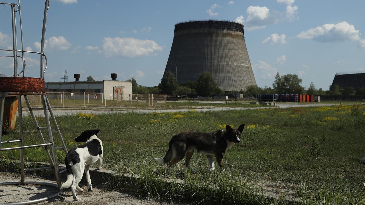 Stray dogs hang out near an abandoned cooling tower at the Chernobyl nuclear power plant. Picture: Sean Gallup/Getty Images