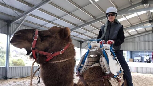 The late Elke Wieszniewski, who migrated from Austria but died in South Australia in January, giving authorities the challenging job of trying to find new homes for her many large animals. Photo: The Public Trustee.