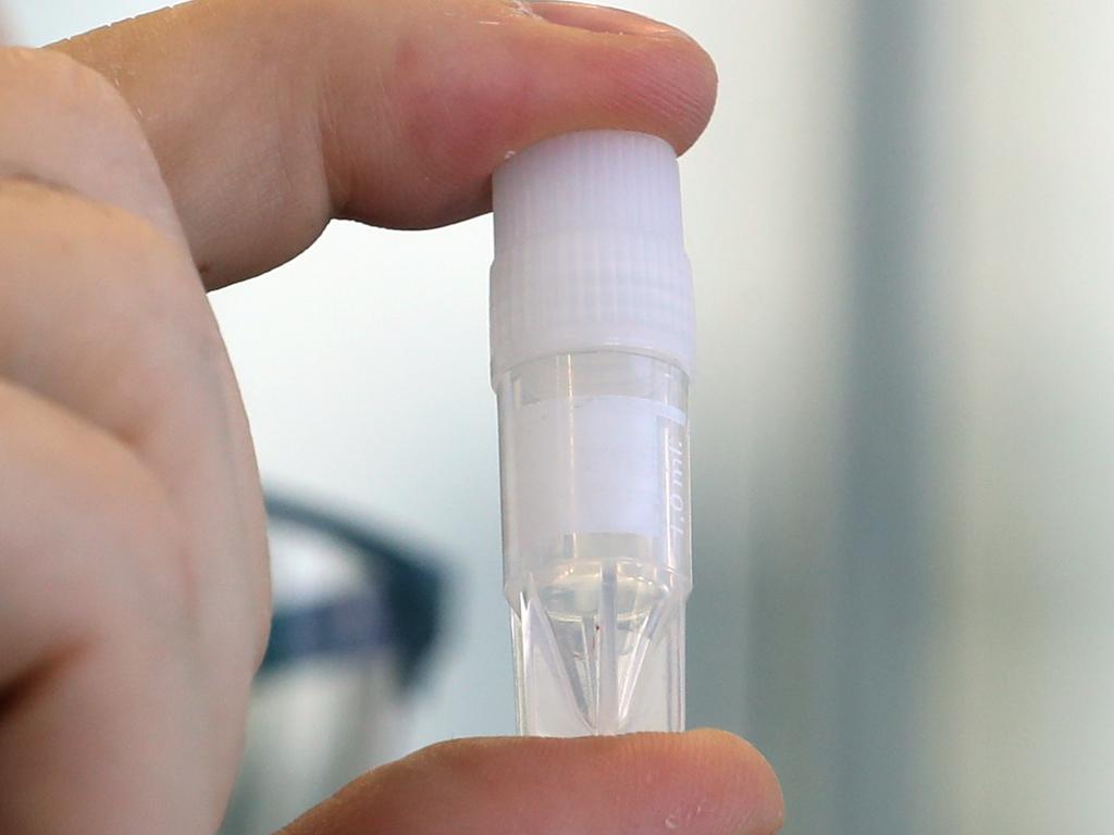 A vial this size provides enough cells to produce 30 million vaccines. Picture: David Crosling