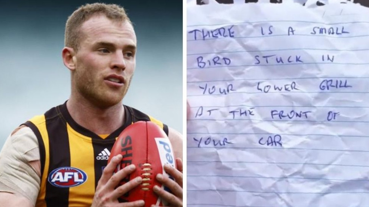 Tom Mitchell had an unusual encounter with a magpie.