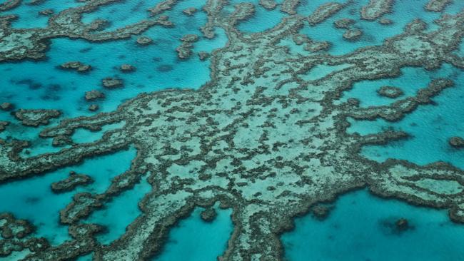 Great Barrier Reef bleaching: True value of reef is $56b, report says ...