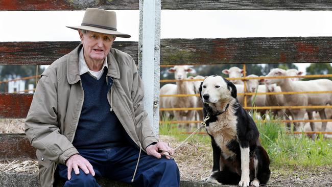 John Macdonald with his Border Collie, Heidi.