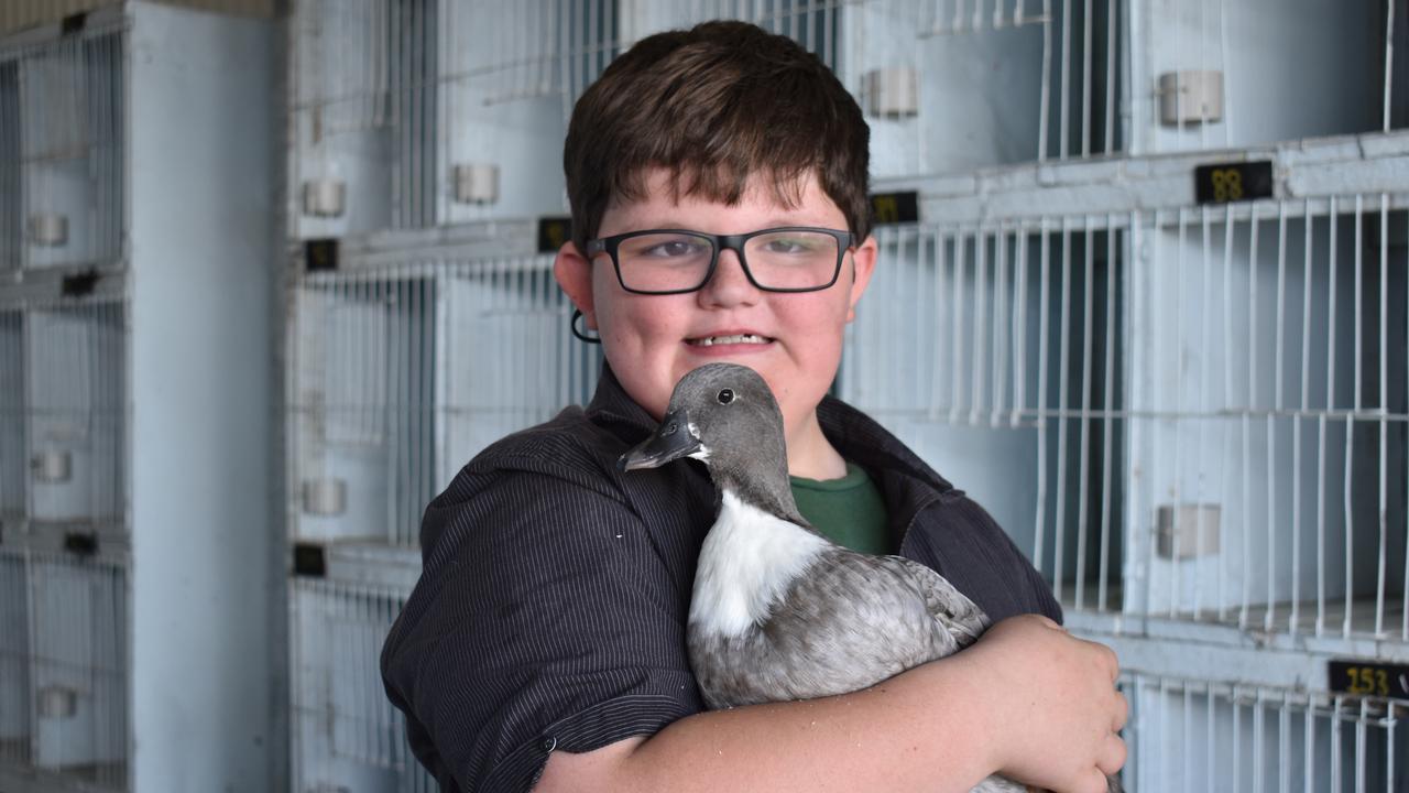 Leland Acton of Bowen won Junior Water Fowl with his Blue Call duck, 'Waddles'. Picture: Kirra Grimes