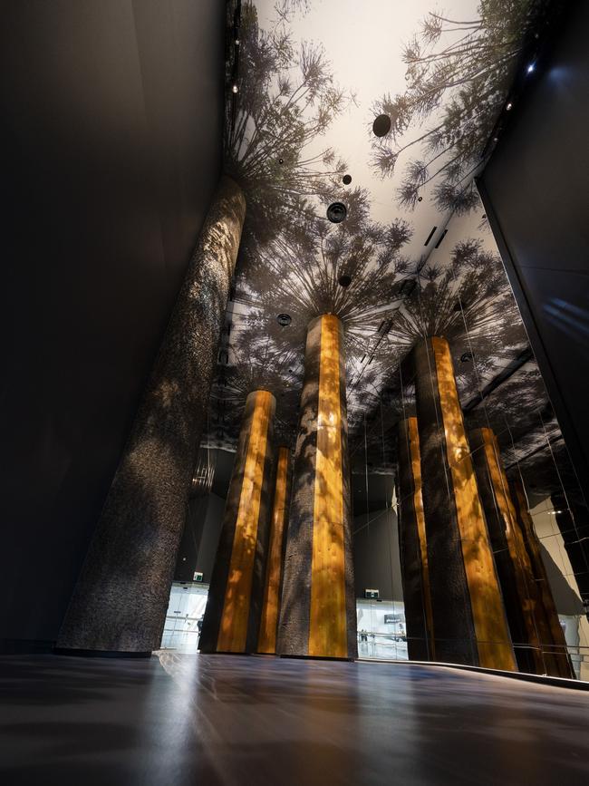 Bunya tree models on display in the new Great Southern Land Gallery at the National Museum of Australia. Picture: Martin Ollman