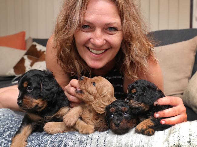 owner Jeni Merry with the rescued puppies. Picture Glenn Hampson