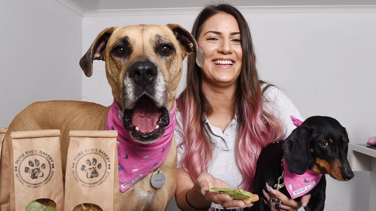 Grovedale dog bakery Pure Paws to open in October Geelong