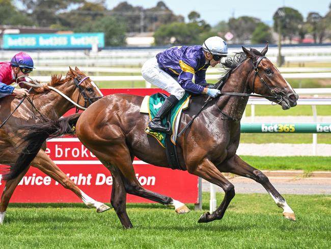 Carbonados (NZ) ridden by Luke Currie wins the SCAADA Group 3YO Handicap at Geelong Racecourse on January 06, 2024 in Geelong, Australia. (Photo by Reg Ryan/Racing Photos via Getty Images)