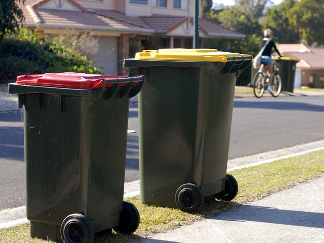 Many said they would have preferred the poo be dumped in the bin. Picture: iStock