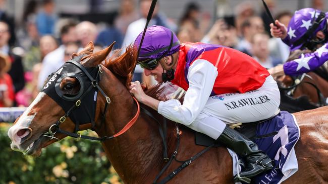 Nash Rawiller rides El Parmy. Picture: Getty Images