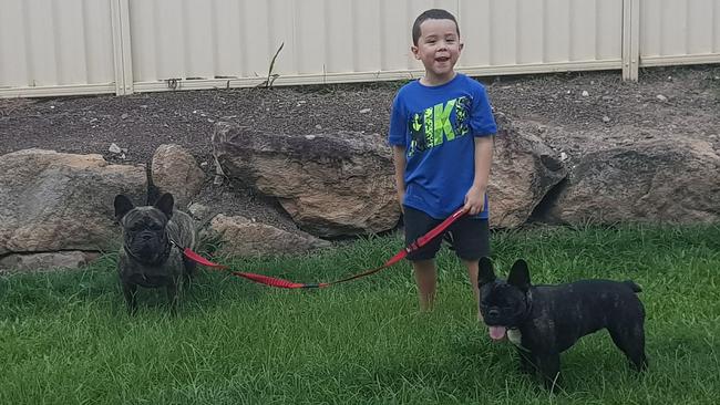 Michelle Pacheco's son, Hunter Tennyson (4) watched as his family dog was stolen from his home.