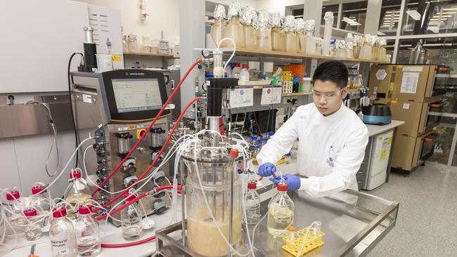 A UQ researcher using a bioreactor, one of the key pieces of equipment in establishing a vaccine candidate. Picture: UQ/Glenn Hunt