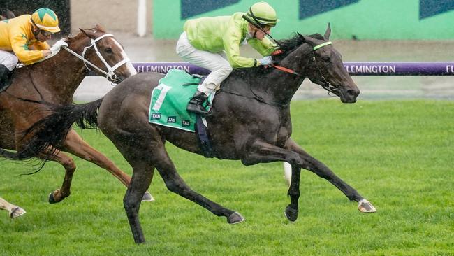 Too Darn Discreet can continue on his winning way when the Dan O’Sullivan-trained filly tackles the Ethereal Stakes. Picture: Racing Photos via Getty Images