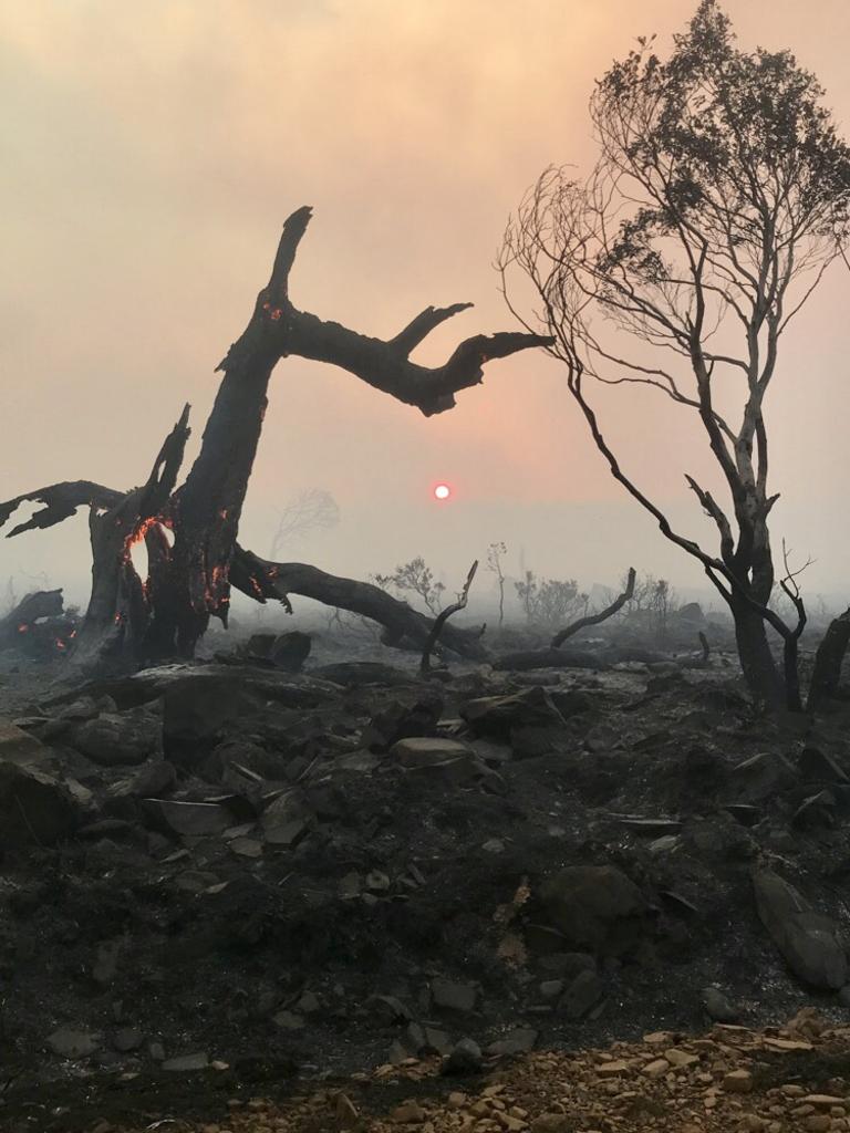 The burnt landscape in Tasmania’s Central Highlands. Picture: Tara Felts