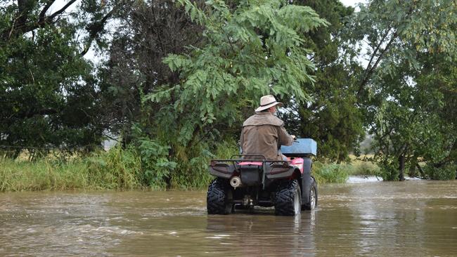 Rosewood flooding, Friday, May 13. Picture: Peta McEachern