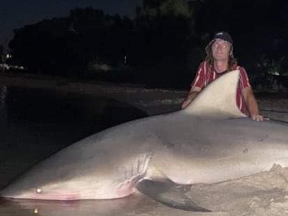 Massive shark found in Swan River