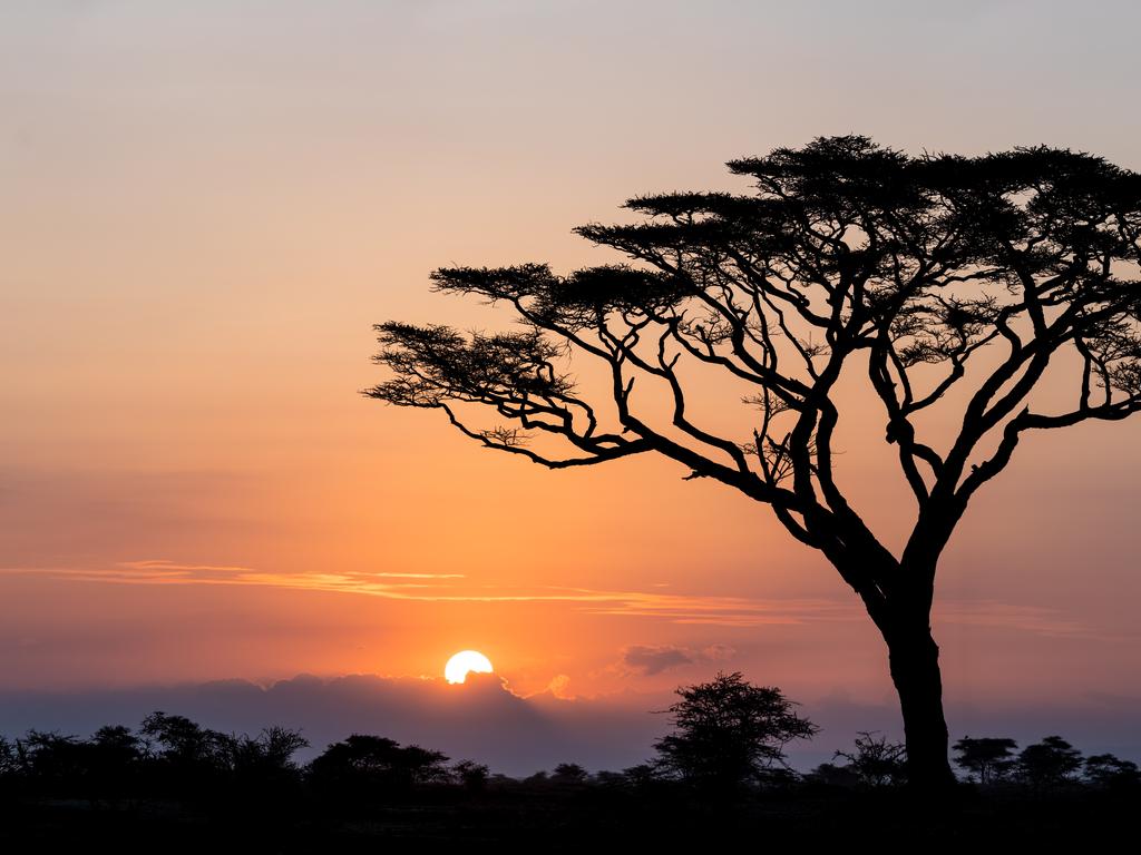 20 best things to do in Africa, from Zimbabwe to Zanzibar | Photos ...