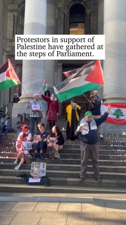 Pro-Palestine protesters gather on steps of parliament