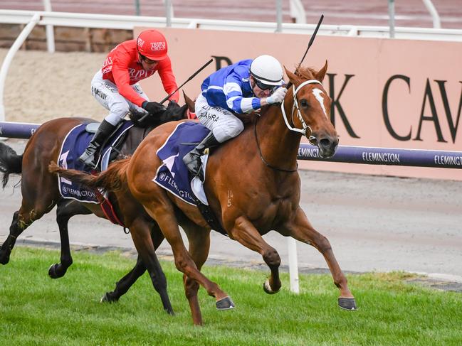 Gytrash wins the Black Caviar Lightning at Flemington in 2020. Picture: Natasha Morello-Racing Photos