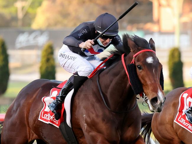 Ballistic Lover ridden by Damian Lane wins the Long Fine Hospitality Supplies Carlyon Stakes at Moonee Valley Racecourse on August 21, 2021 in Moonee Ponds, Australia. (George Salpigtidis/Racing Photos via Getty Images)