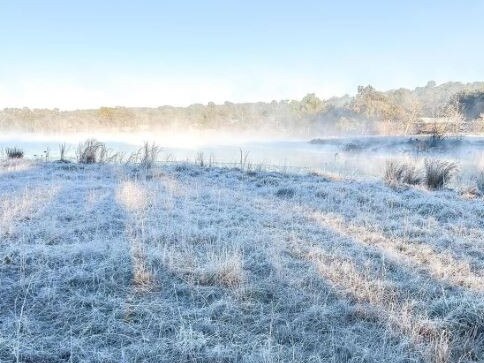 Freezing start with blanket of frost near Stanthorpe. Picture: Dylan McKenna