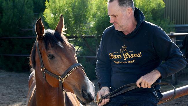 David Jolly with Behemoth at his Goolwa property. Picture: Mark Brake