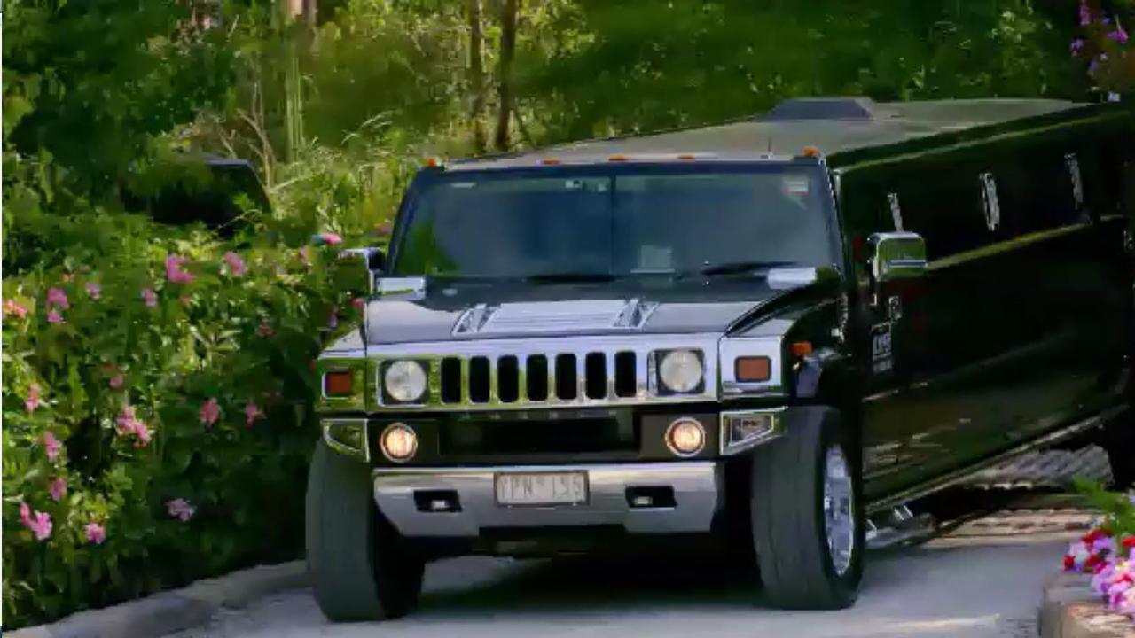 A hummer of Bachelor contestants also happens to be the correct collective noun.