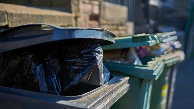 Can you put dog poo in another person’s bin?