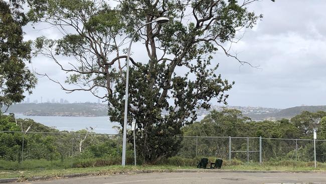 The view towards Sydney Harbour at the old Manly Hospital site on North Head where a hospice for teenagers and young adults will be built. Picture: Jim O'Rourke