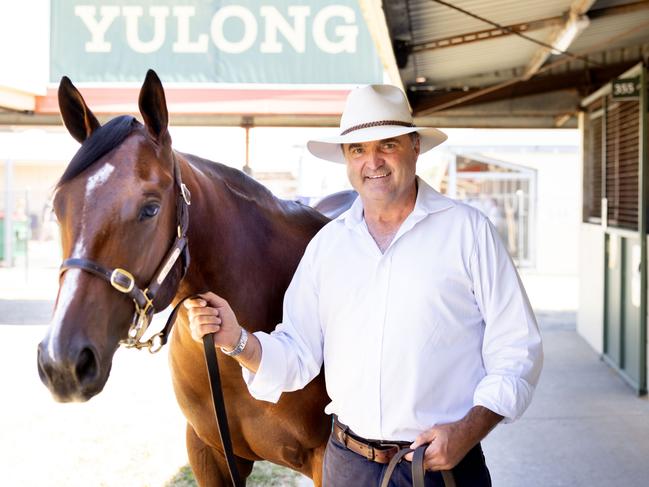 Vin Cox with Lot 185 ahead of the Magic Millions sales. Picture by Luke Marsden.