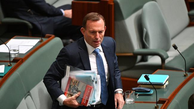 Tony Abbott described the energy policy as “putting lipstick on a pig”.