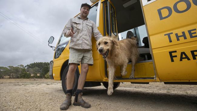 Adelaide Dog Farm Days, an excellent way to keep your pup busy through the day and tired at night. Picture: Brett Hartwig