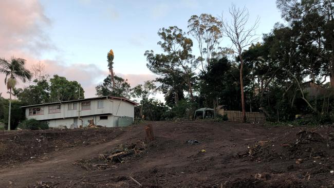 The land was cleared and since then a number of koalas have been killed in the nearby streets.